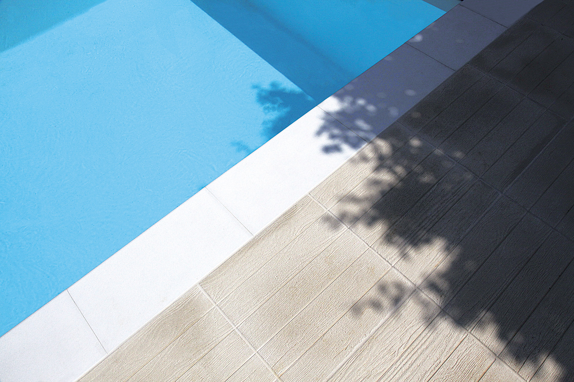 Beljeni Javor Ortogonale - Image 3