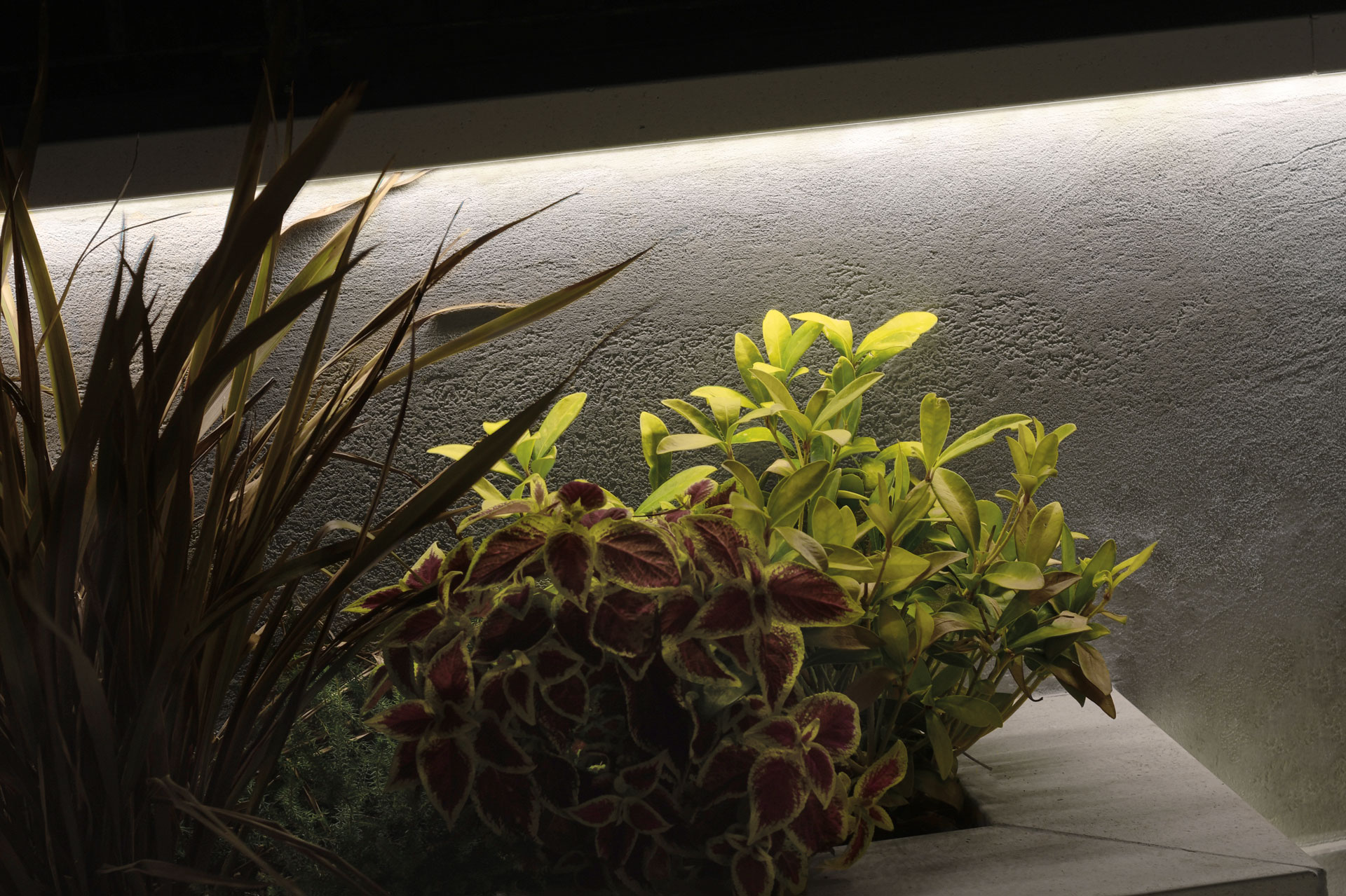 Bela LED prevleka Levigata - Image 10